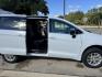 2025 white CHRYSLER VOYAGER (2C4RC1CG15R) - Nunc egestas non eros vel tincidunt. Aliquam sit amet mauris eget diam pulvinar mollis. Proin iaculis elementum orci commodo convallis. Ut pulvinar dolor et lobortis scelerisque.- Photo#5